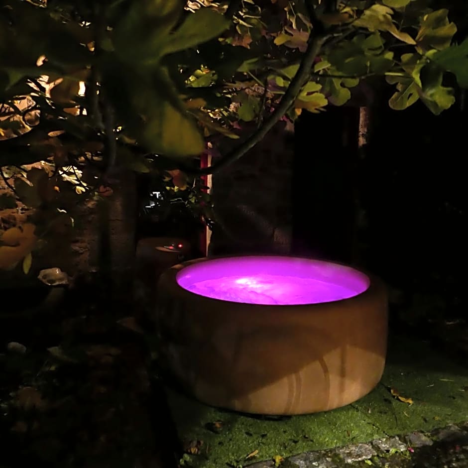 Les Insolites de Coco