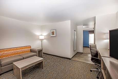 1 King Bed 1 Bedroom Suite Non-Smoking