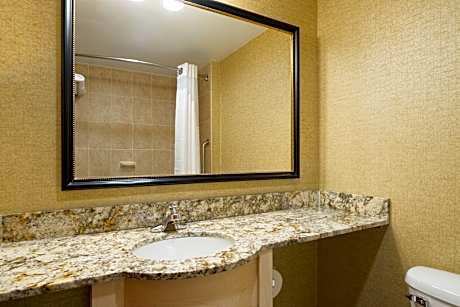 1 King Bed Standard Walk In Shower