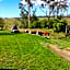 Rolling Hills Country Stay B&B