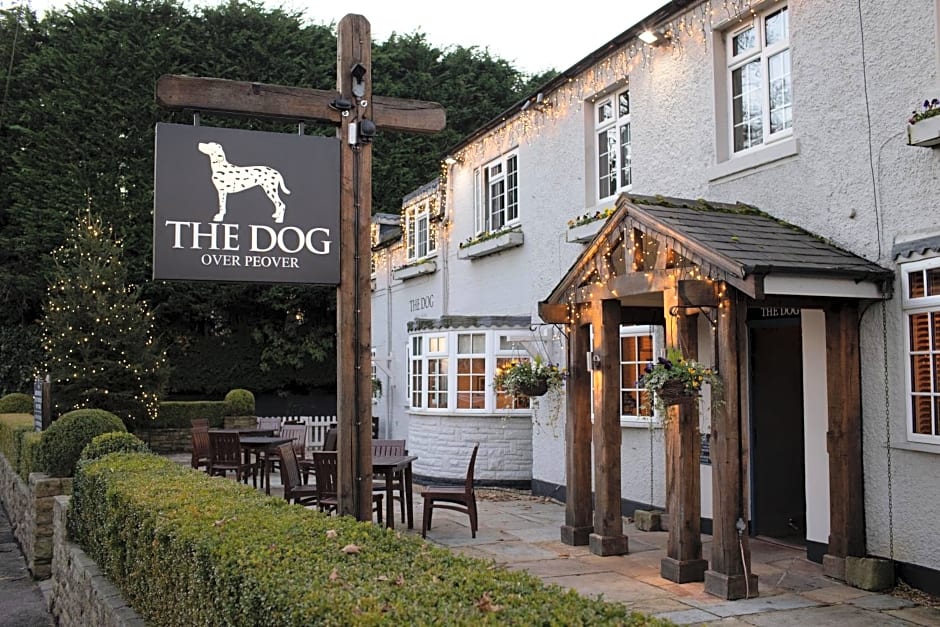 The Dog in Over Peover