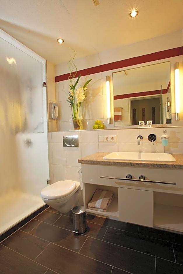 Hotel Restaurant Krone & Wellness - Schopfheim