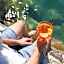 Vogl's Nest