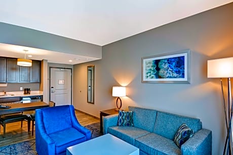 1King Mobilty/Hearing Access Tub Studio Nosmk