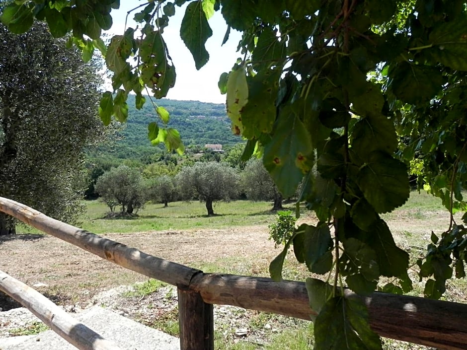 B&B Il Rifugio di Nino
