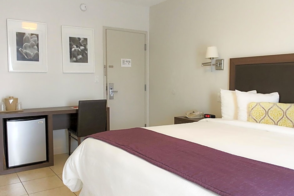 Collins Hotel