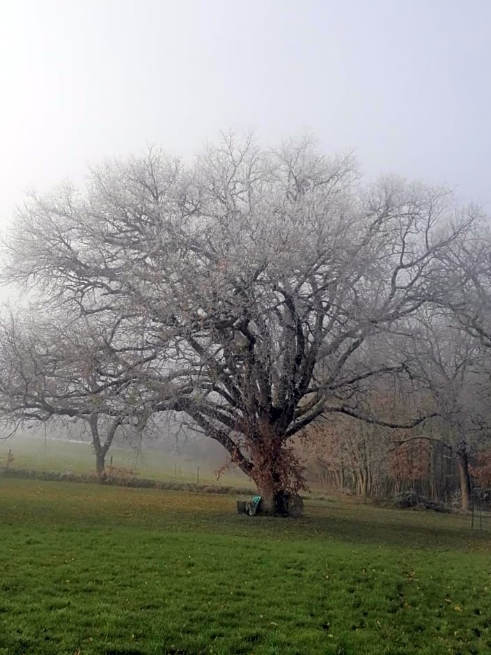 MAISON MAUPAS Chambre Rouge