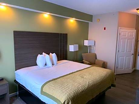 1 King Bed Non-Smoking