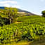 Re Artù Assisi Country Lifestyle