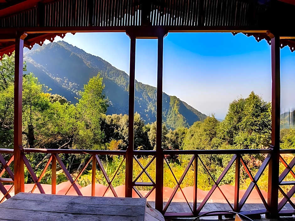 Jungle Lore Birding Lodge