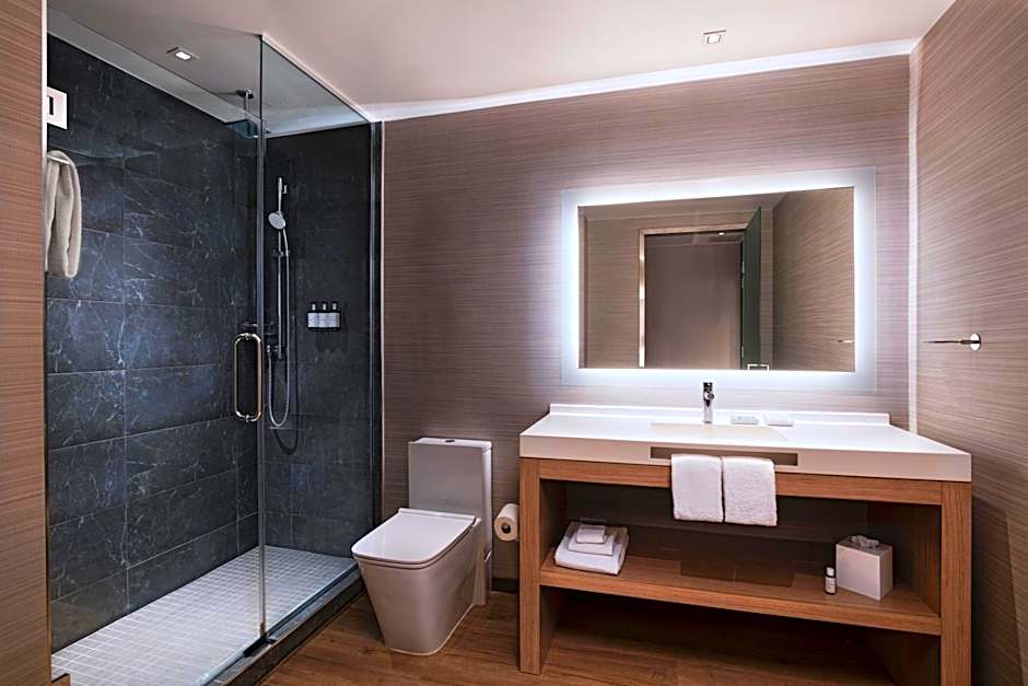 AC Hotel by Marriott Houston Downtown