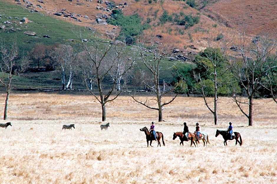 Sani Valley Nature Lodges