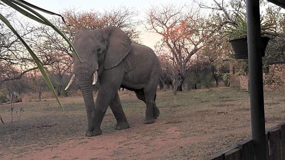 Marulani Bush Lodge