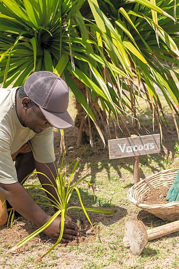 Constance Tekoma - Rodrigues Island