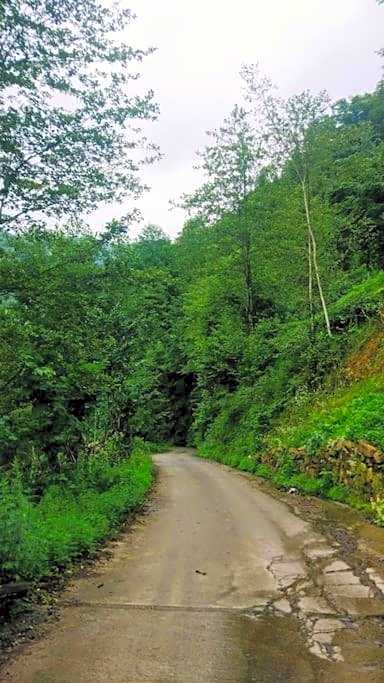 Begi Apart Bungalows Hotel - Çamlıhemşin