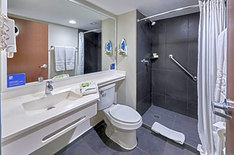 Suite, 1 Bedroom (1 Queen Bed and 1 Double Sofa Bed)