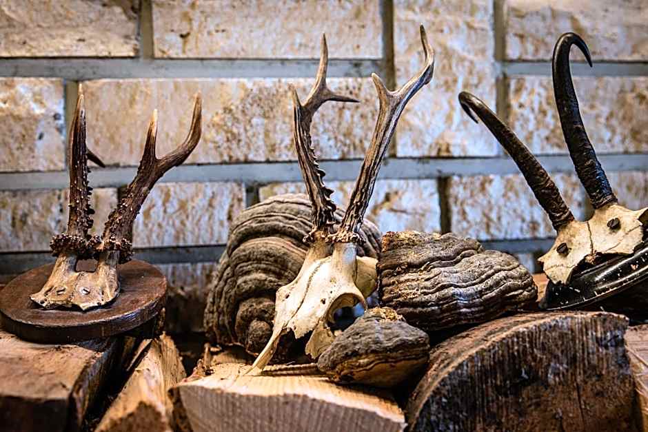 Alpenhotel Fischer - Adults Only