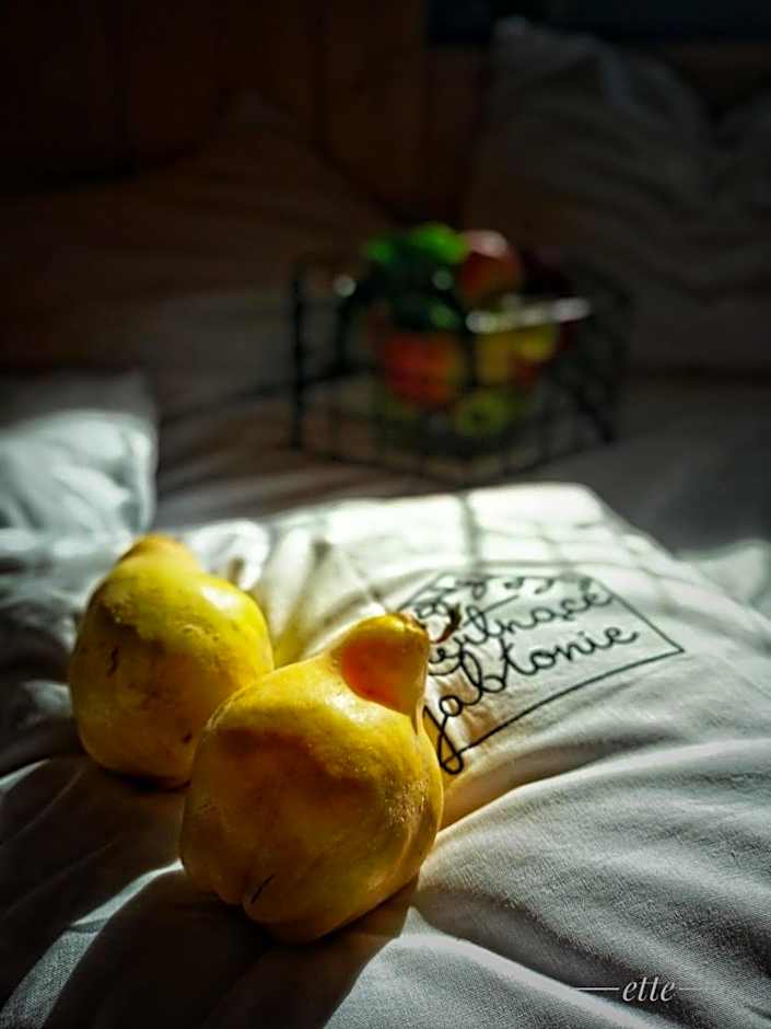 Kwitnące Jabłonie. Całoroczne Domki Wypoczynkowe