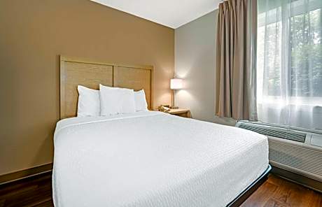 Deluxe Studio with 1 Queen Bed - Non-Smoking
