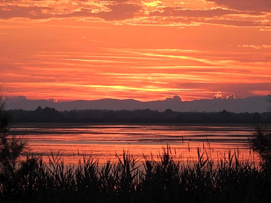 Hotel Les Palmiers En Camargue