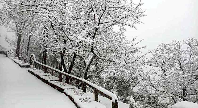 Hotel Devlok Primal Mussoorie