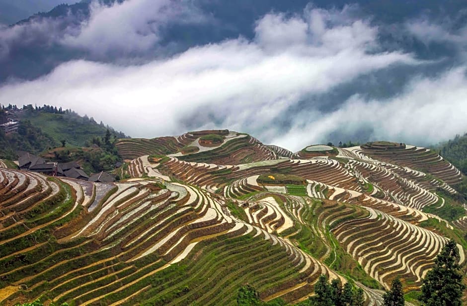 Longji Holiday Hotel