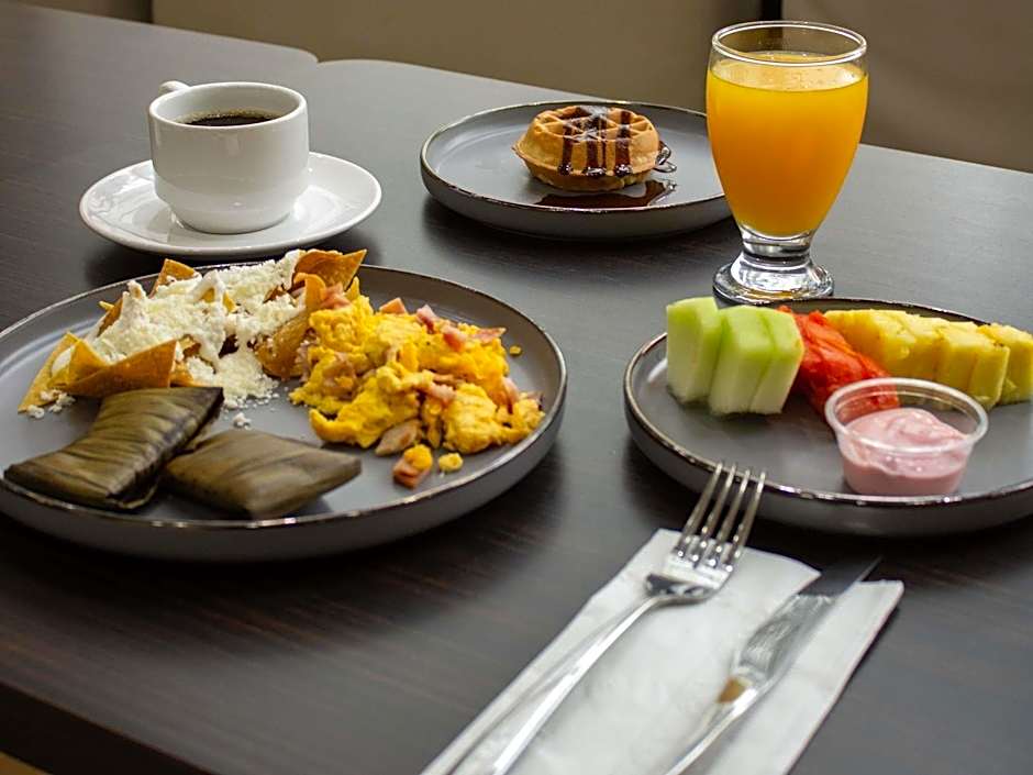 Ibis Monterrey Valle