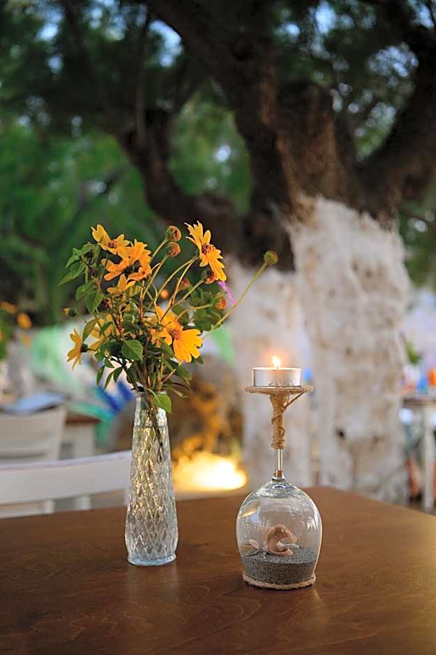 Alianthos Beach Hotel