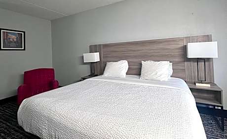 Deluxe King Suite