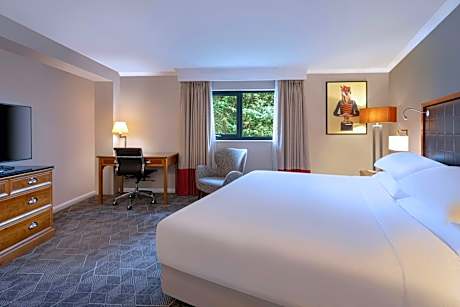 Premium Room, Guest room, 1 Queen