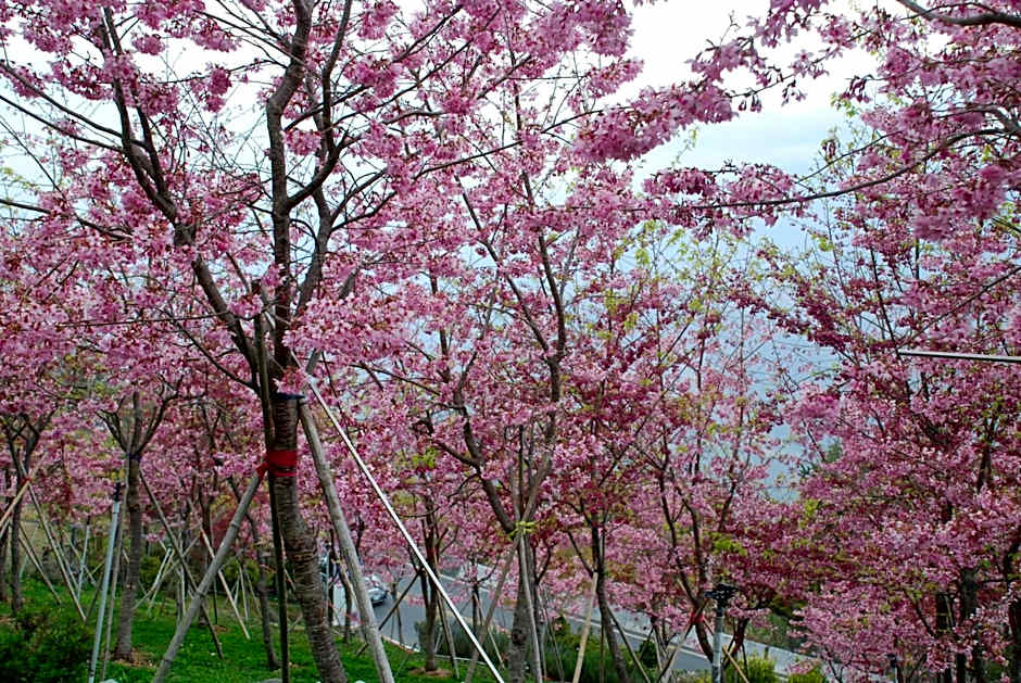 Liching Garden Villa