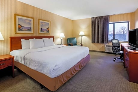 1 King Bed, Non-Smoking