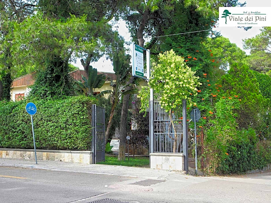 B&B Viale dei Pini