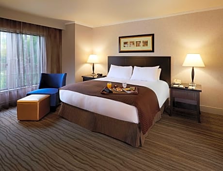 1 King 2 Room Suite Non Smoking