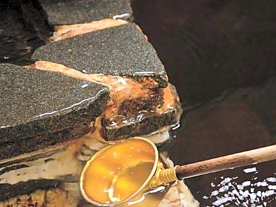 Ryumeikan