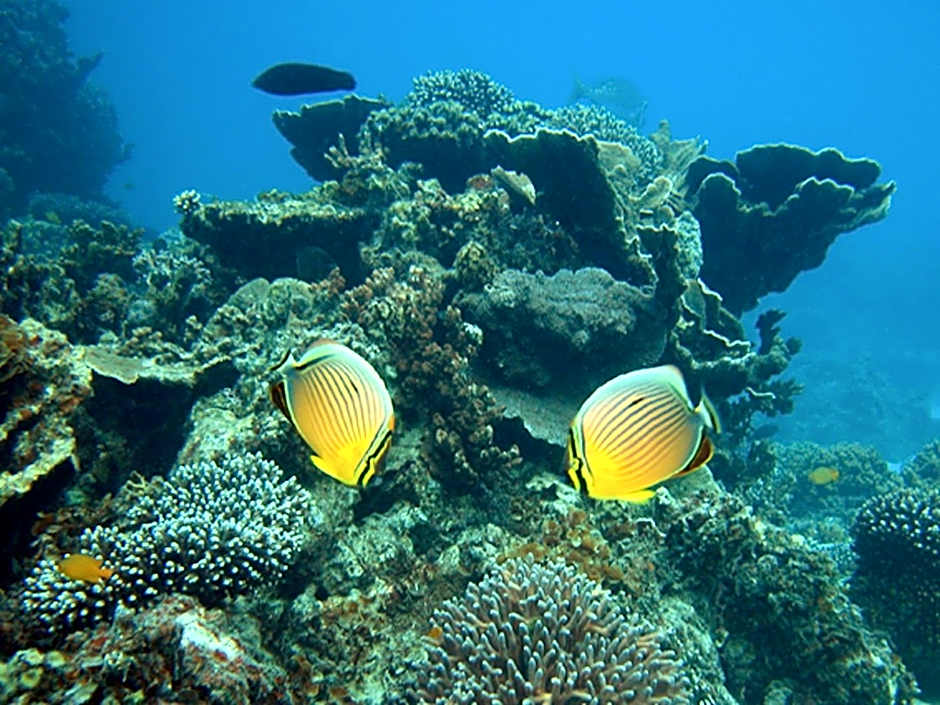 Mackerel Islands Resort