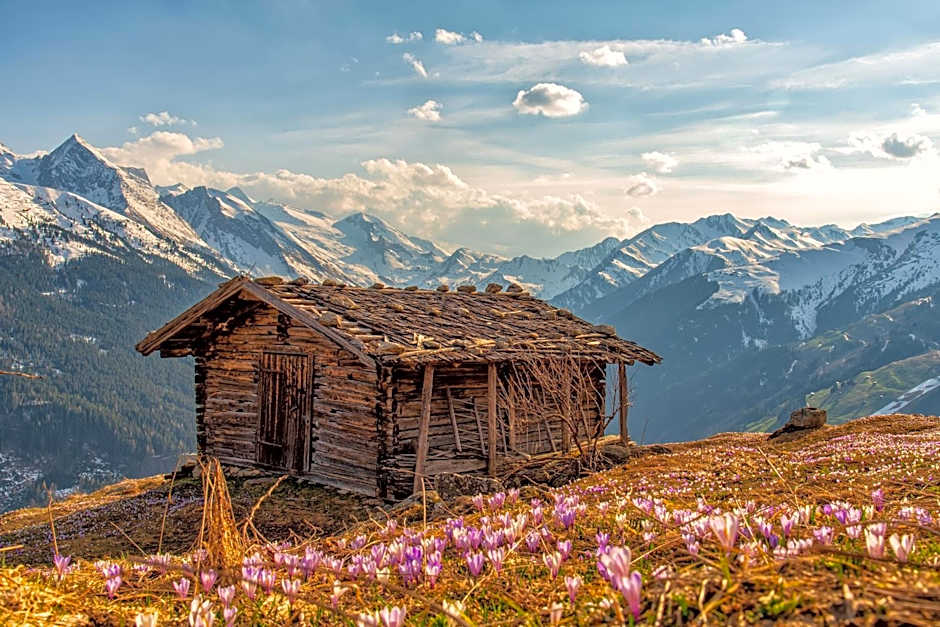 Hotel zum grünen Tor