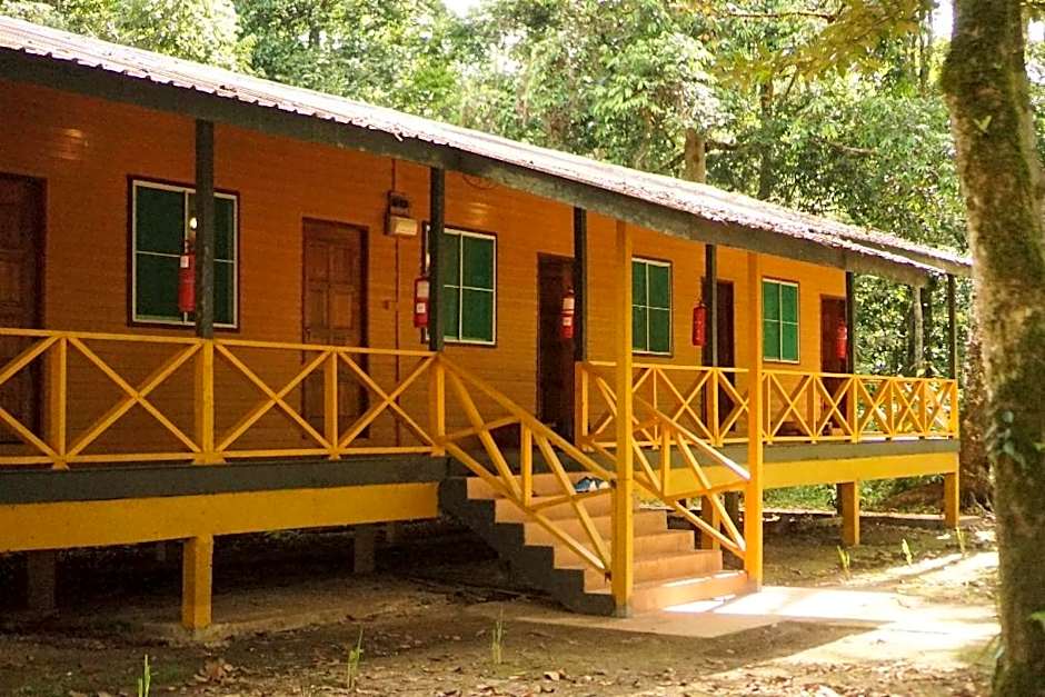 Borneo Jungle Adventure