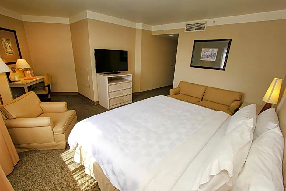 Holiday Inn Leon-Convention Center By IHG