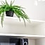 City Center Lofts