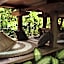 Roots Tree House