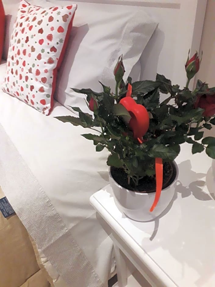 Reggiolacittàinvisibile B&B