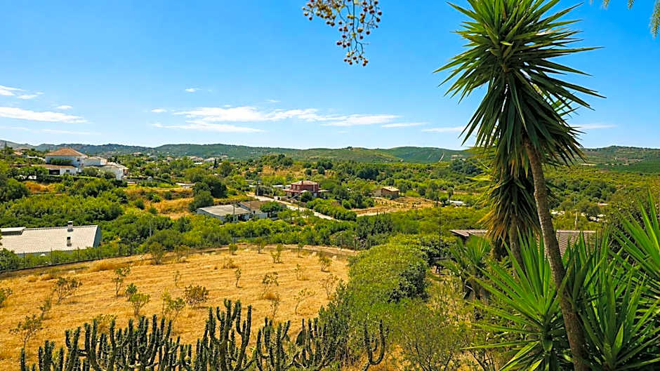 Gato Preto de Silves - Adults Only