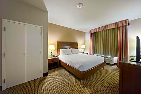 1 King Bed 1 Bedroom Suite