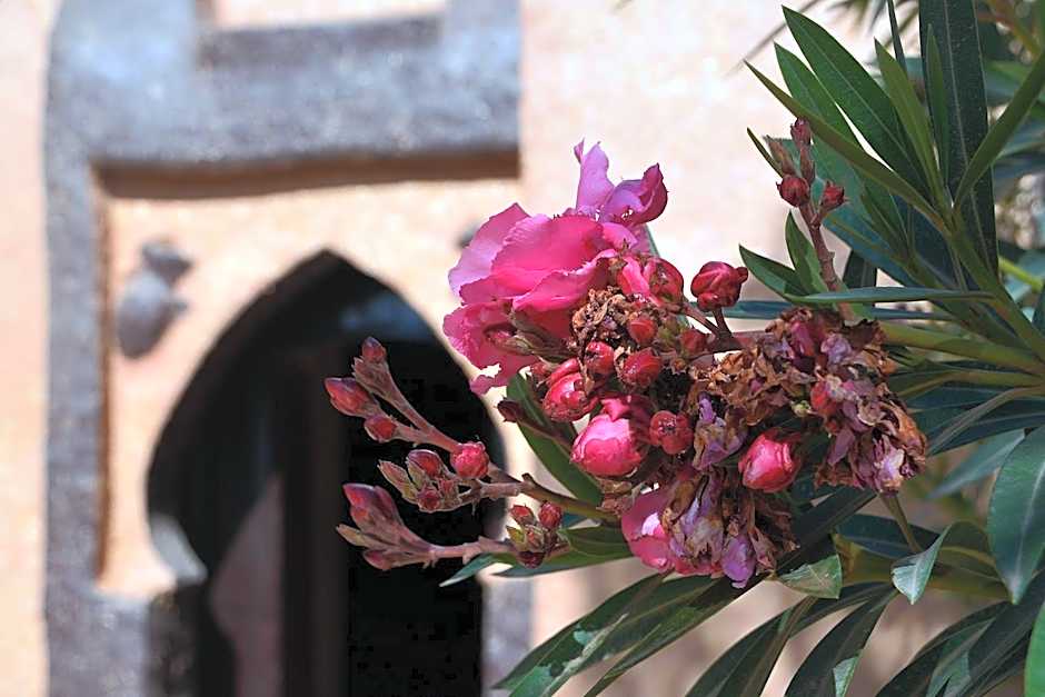 Haven La Chance Desert Hotel