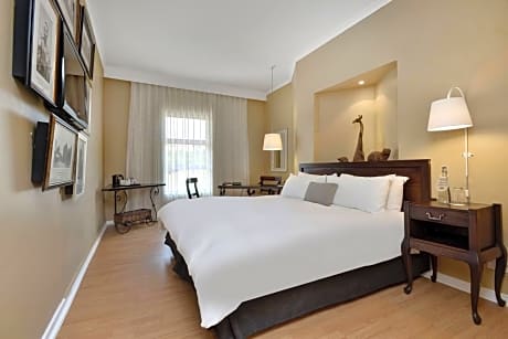 Room, 1 King Bed