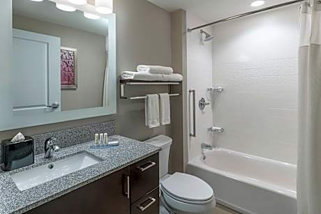 Executive Studio, 1 King Bed with Sofa bed (1 King Bed and 1 Double Sofa Bed)