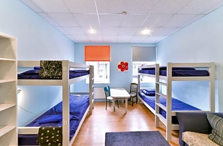 Single Bed in 6-Bed Mixed Dormitory Room
