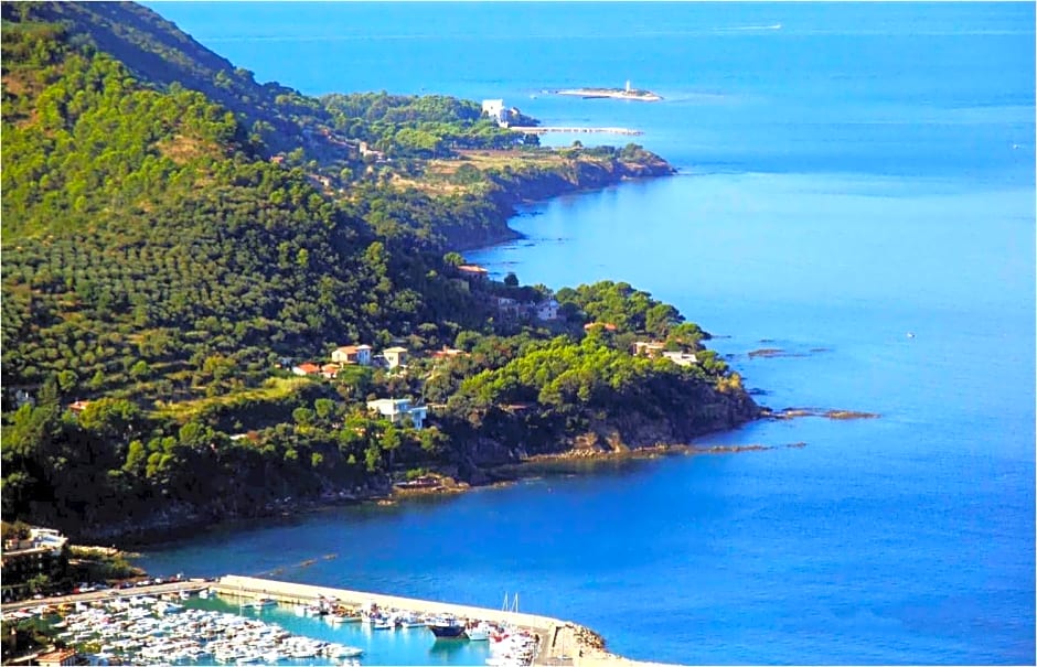 afra Bed & Breakfast