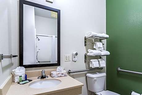 King Suite with Roll-In Shower - Accessible/Non-Smoking